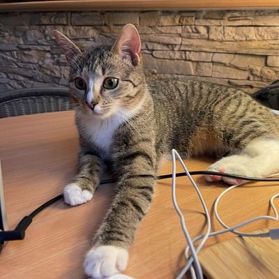 JaffarJaff48048's profile picture. Welcome to My Genius Trades!
Get accurate, real-time forex signals and expert analysis to help you trade smarter. Join our community for daily updates and profi