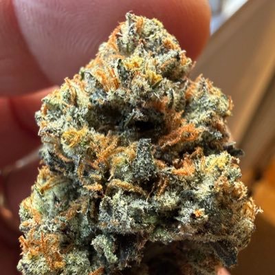 cartel_gre46742's profile picture. On-demand drops, no delays Explore #exotics #CBD #shrooms #gas #wax #flower #vape and more 🔞 | Tap in on Telegram to order ⬇️
