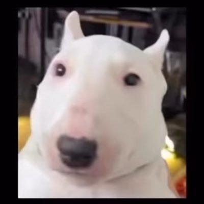 Garam_Aaloo's profile picture. 