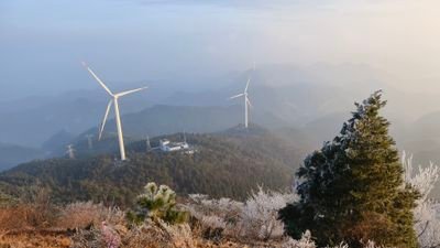 Rohn_wire_me's profile picture. 