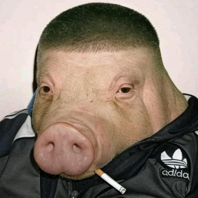 ethernetholigan's profile picture. 