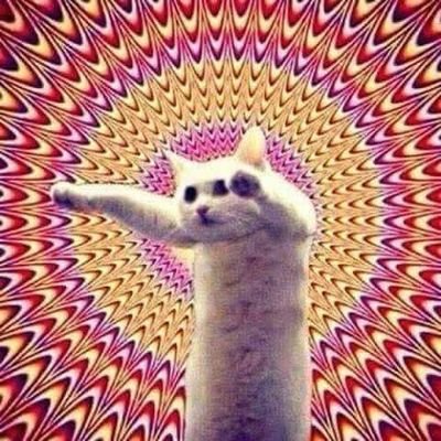 RauffHanif's profile picture. headhunting top remote tech & marketing talent from underexplored markets for startups & SMBs at https://t.co/xC7tXPxfOu