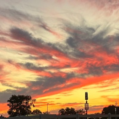 Spencer_is_back's profile picture. “When you capture the right moment, it says more” (pref. name atm in dn) ♓️