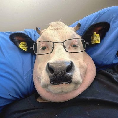 ceb4fn's profile picture. 뚜와임!! 두번째 계정 정지 당함 이것도 정지 당하면 뛰어내림