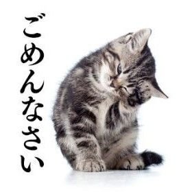 pietroz3n's profile picture. ⚧ 🇵🇸