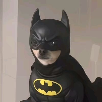 MonyYari's profile picture. 