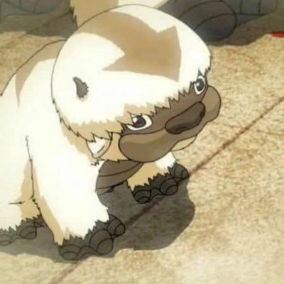 magwhoooo's profile picture. Currently somewhere over the rainbow