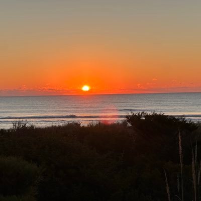 LibMomTurning's profile picture. Former Democrat. Family trauma caused by public school Trans Cult lies. Safety for kids, rights & fair sports for women, biology, reality - it ALL matters.