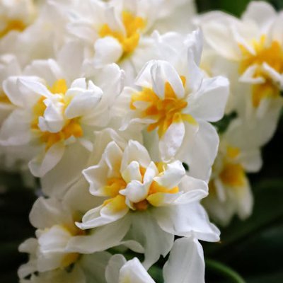 kamalkbft's profile picture. 