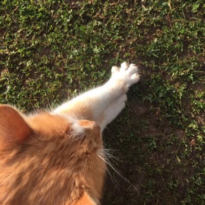 tiruknakurbboo's profile picture. 