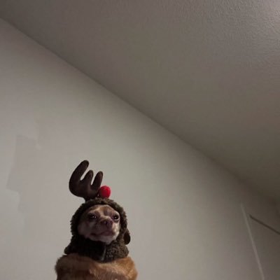 lolaoflucia's profile picture. I am into champagne.