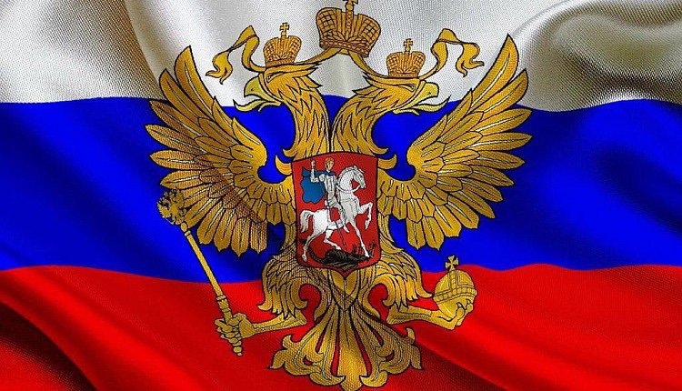 Dadiwshv's profile picture. 