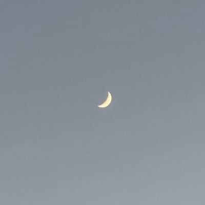 AA77's profile picture. 🗝【@w2m】