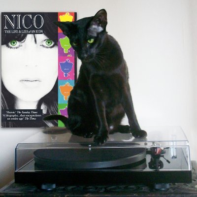 lesclarkart1's profile picture. Designer, married2Mags, sonLes familiars LouNico https://t.co/NGFAAmdhyY  https://t.co/LOaYYAIF8p - 45cat Les Clark Art