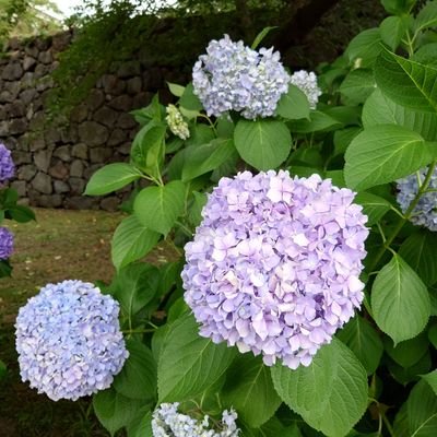 Sorairo93107's profile picture. お笑い/読書/文房具

#最果てのセンセイ