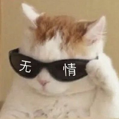 Bana_Jacky's profile picture. 一个 Loser 的自白 || 连续创业者：走过高山低谷，第 3 次归零 || 重新出发，AI 创业，刚完成天使轮融资 || 分享日常所想。