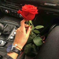 فــــرز جديـــد (@hal858229) 's Twitter Profile