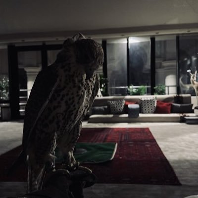 l8000w's profile picture. حبّ البنات وحبّ حرش العراقيب .