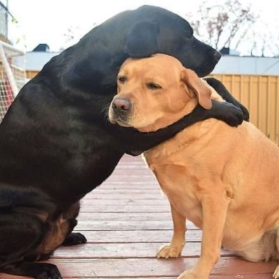 uwjsydhwid's profile picture. 