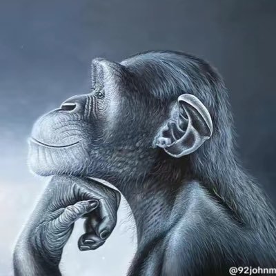 mojojochef's profile picture. 😷😷😷