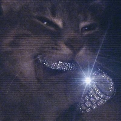 ChironXBT's profile picture. I Born to Win |
Part of the @DataHaven_xyz community