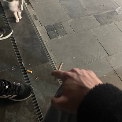 trkdmr00's profile picture. hesap kapandı