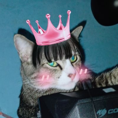 suni_5055's profile picture. LISA BLACKPINK
nurdesoraya เหนือ 🐬
Phinyanech แตงกวา🦌
#TKNur #TKphinyanech🪻
Faye Peraya 🌻