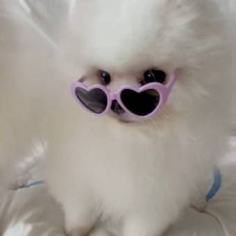 akinymnym's profile picture. 