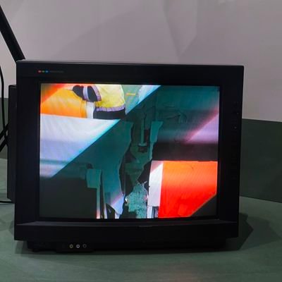 mameeooooo's profile picture. 劇団新生Lv.1