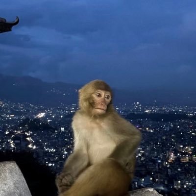 wishihab's profile picture. 