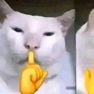 eyvsey's profile picture. Listen to your gut