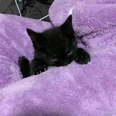 you_TxT_'s profile picture. 