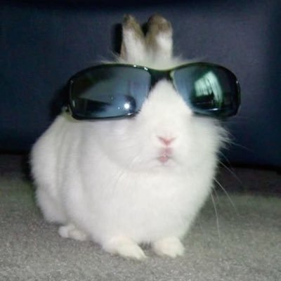 agardenlife's profile picture. 25, she/her. tpwk. ash holes. harry, inhaler, ateez, flyers hockey. your mom is a 🌟