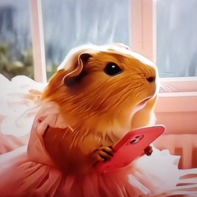 ayhjgce's profile picture. 