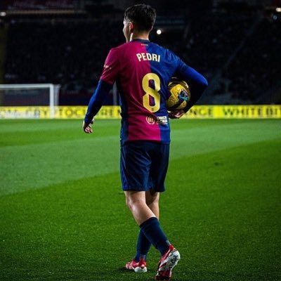 pedrimeatrider's profile picture. 