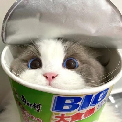 malishn22's profile picture. Aspiring DevOps Engineer