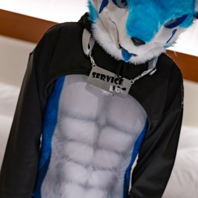 senseless_wanko's profile picture. 