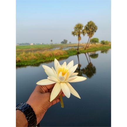 oneplus1682363's profile picture. Indian