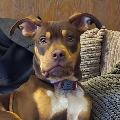 3ugzy19801's profile picture. We are aries