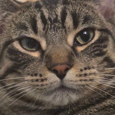 Guy1000_'s profile picture. 22 | doing stuff | saying things