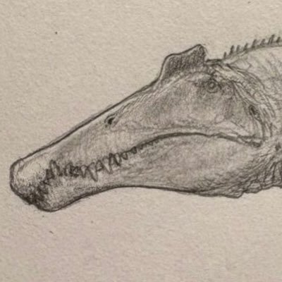 Spinosann's profile picture. 恐竜が好きな15歳の高校1年生