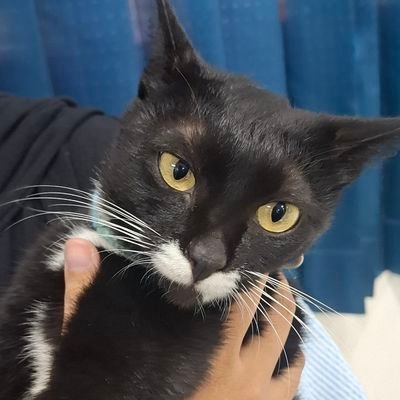 architectuvre's profile picture. Lorem ipsum dolor sit amet