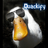 Quackerston's profile image