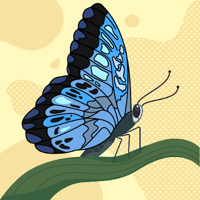 Asil433159's profile picture. 