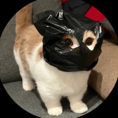 finaldesign5's profile picture. x