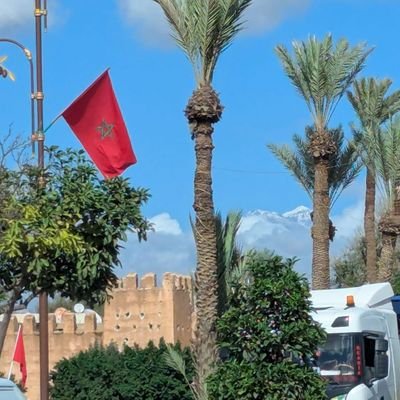 wild_cryptgrphr's profile picture. 