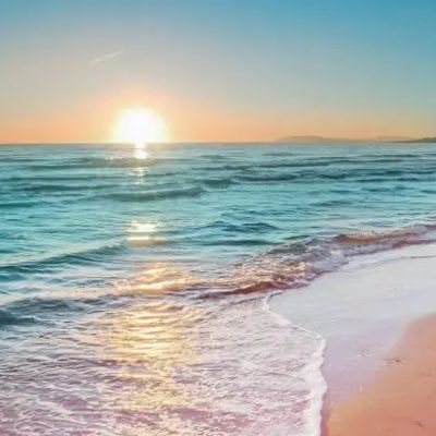 SapAweConsort's profile picture. God first. Dogs second. All in all, you’re just another brick in the wall.