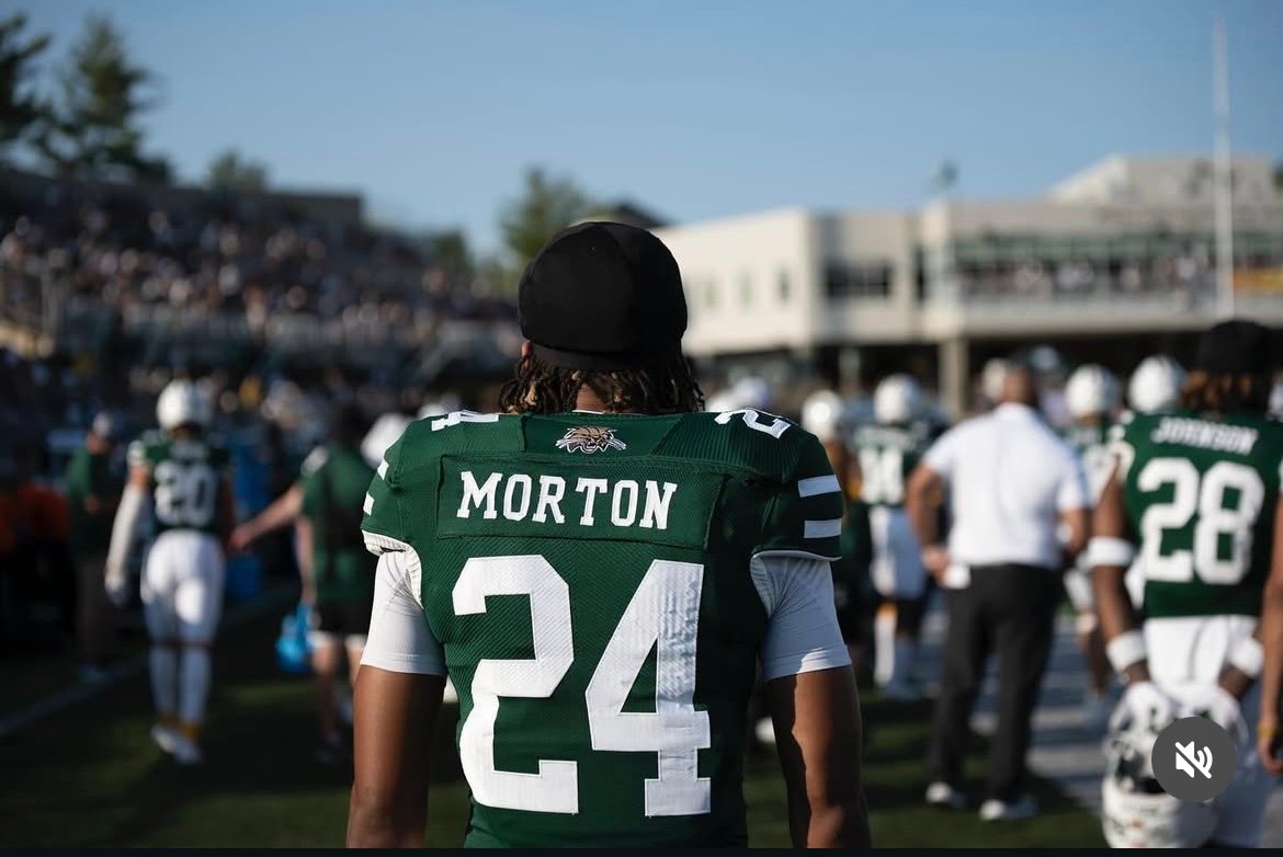 Dmo3846's profile picture. 