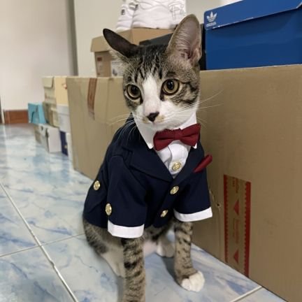 ChingYuChiu's profile picture. 史前巨韭