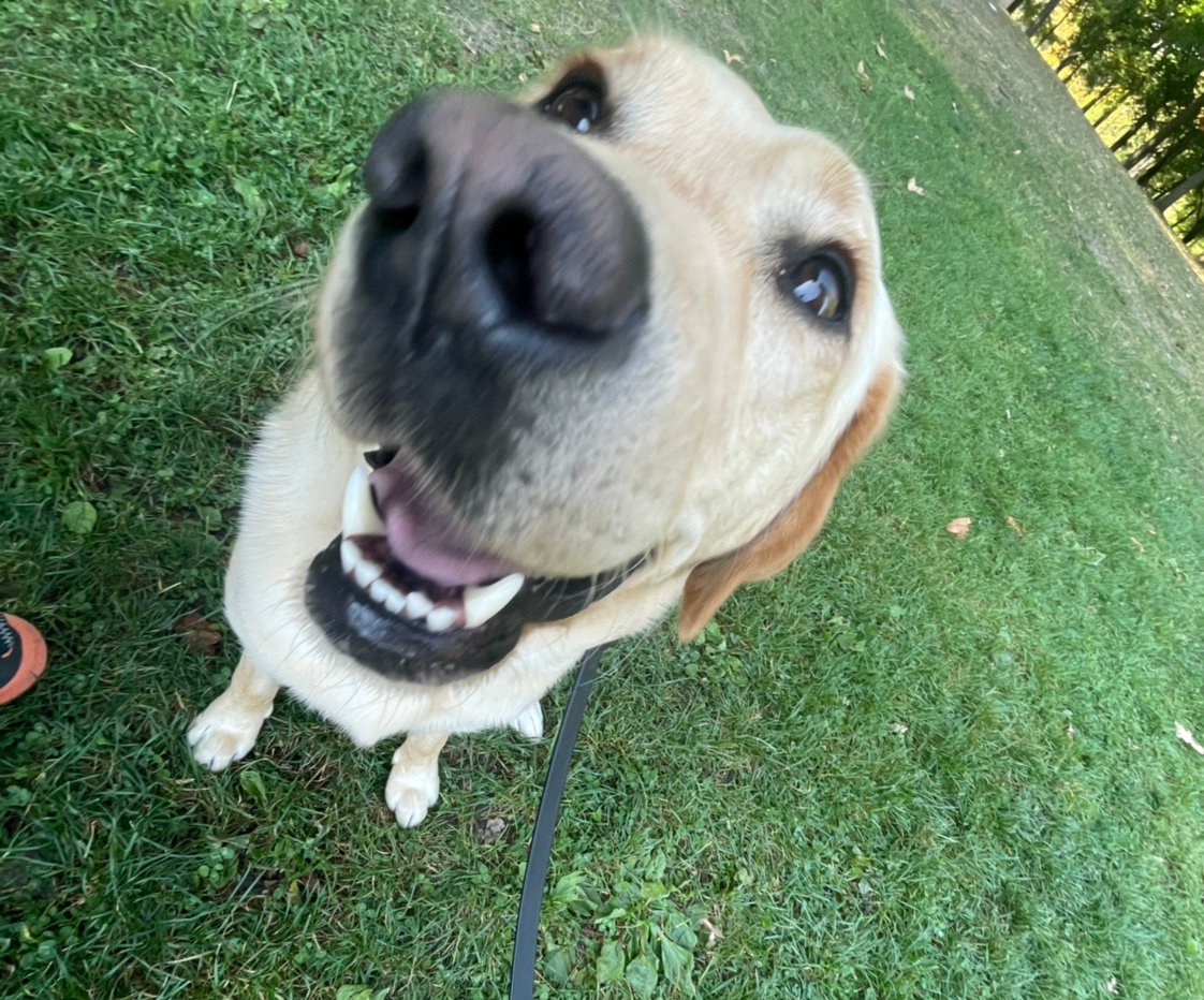 EwanMillerz7's profile picture. 